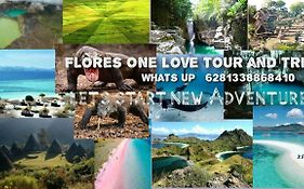 Flores One Love Homestay & Tours